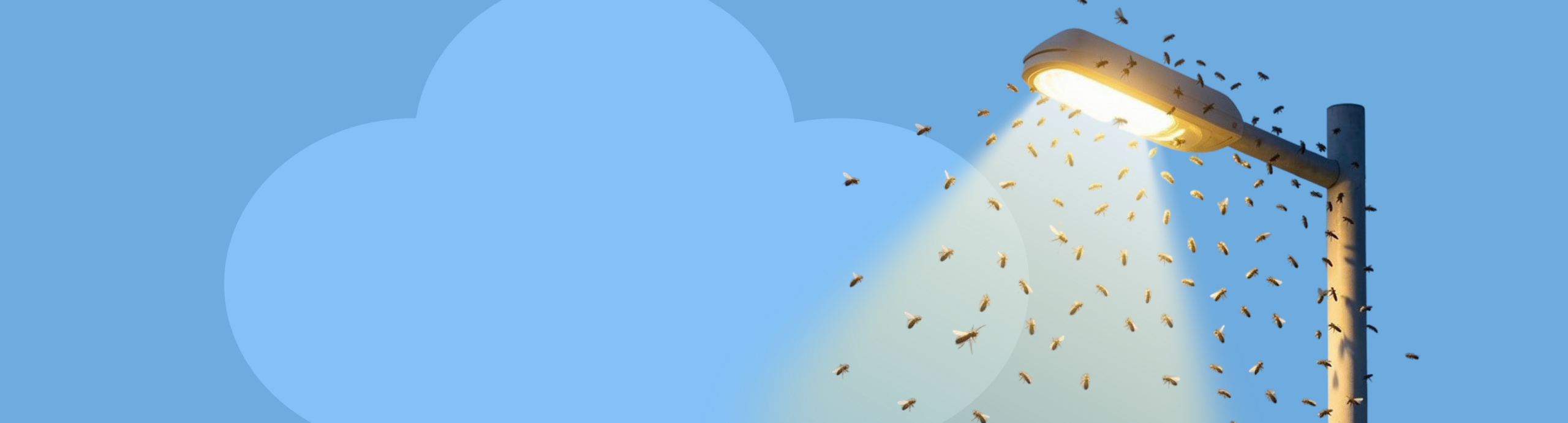 маркетинговое агентство v-brand